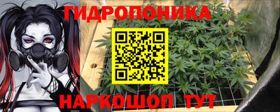 ГАЛЛЮЦИНОГЕННЫЕ ГРИБЫ Камышлов